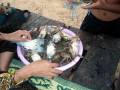 Cambodia-food-5