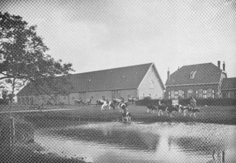 Foto boerderij