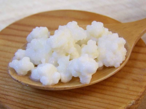 melkkefir