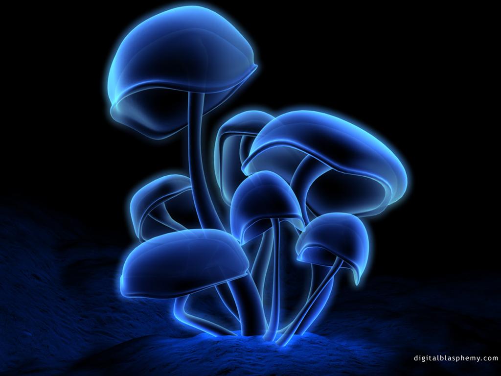 http://home.deds.nl/~rolandvb/blue2/fluorescence6.jpg