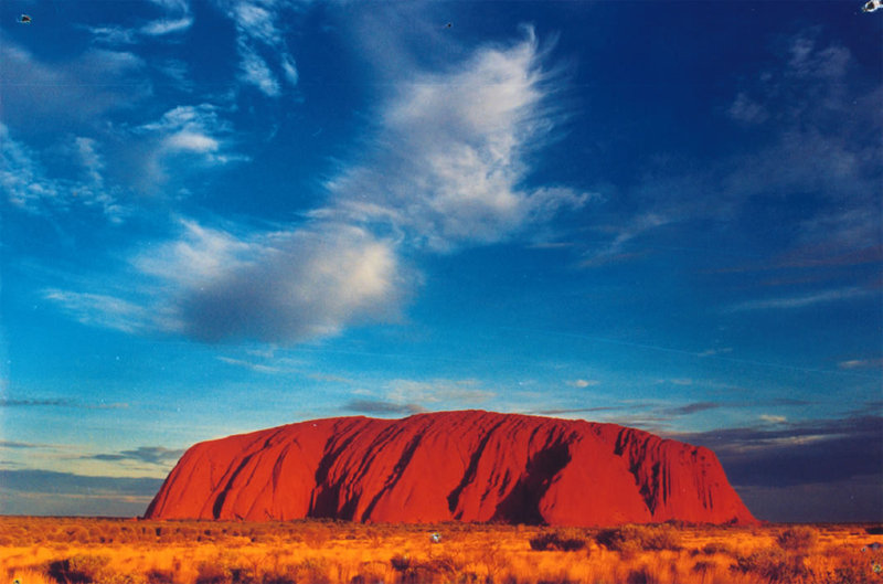 Ayers Rocks - Australië - Dit is het leefgebied van koengoeroes