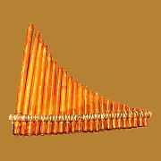 Panfluit
