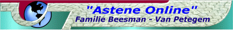 beesman.gif