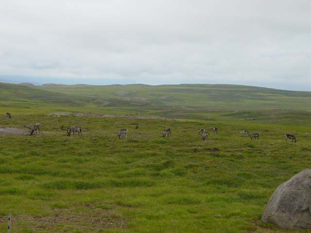 Omgeving Egilsstaðir