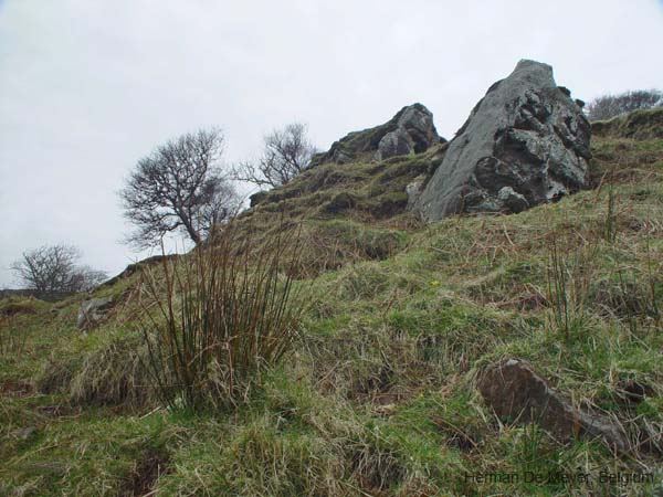 image008