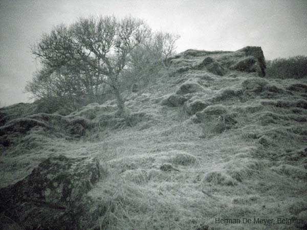 image009