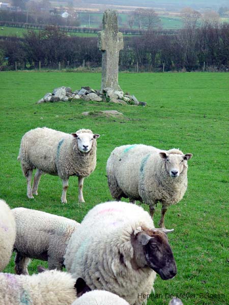 image022