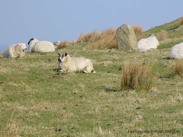 image025