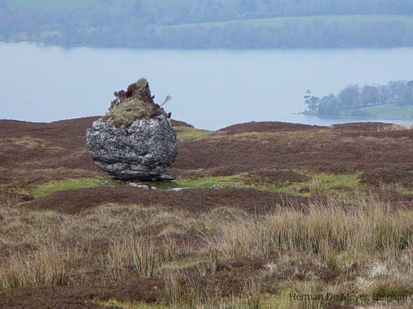 image042