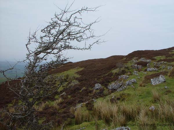 image043