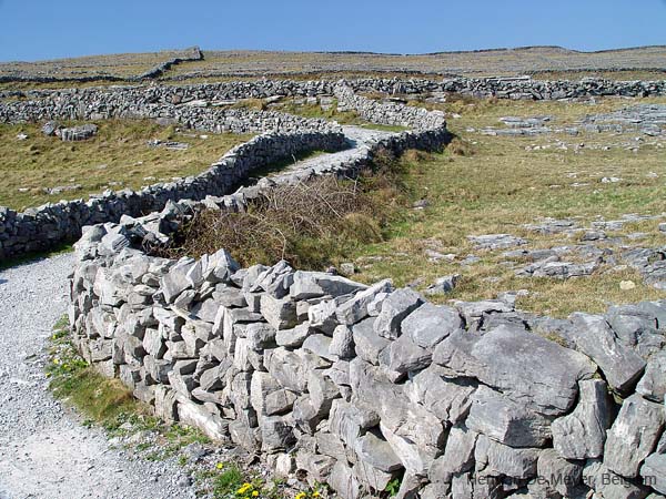 image063