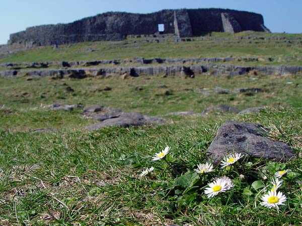 image065