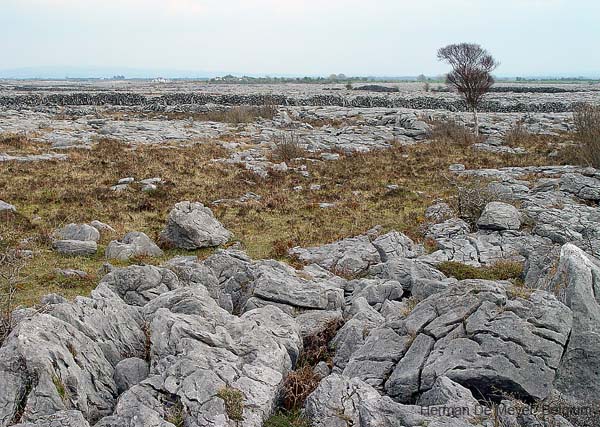 image080