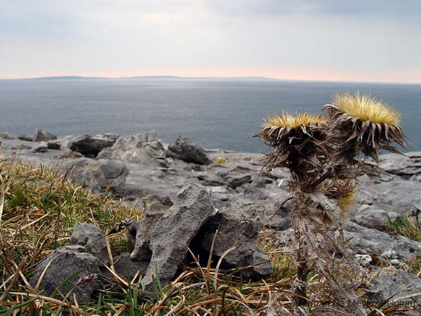 image082