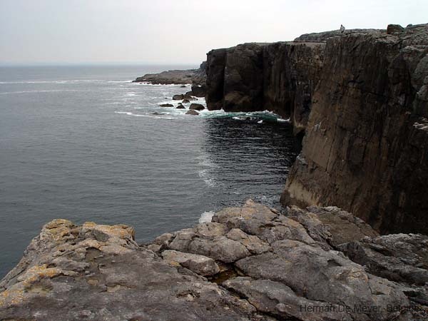 image083