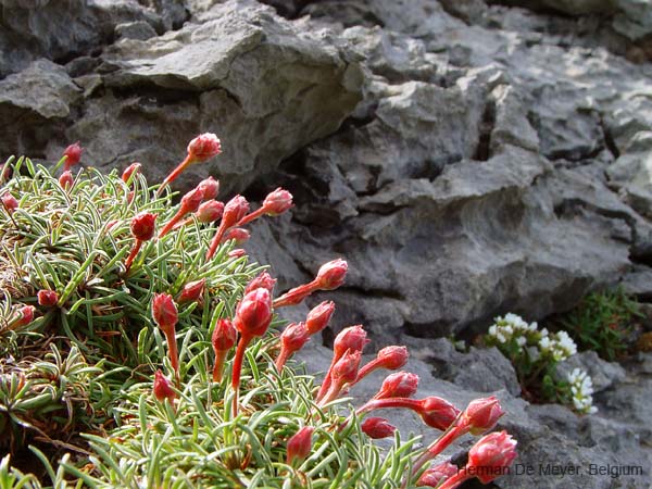 image086