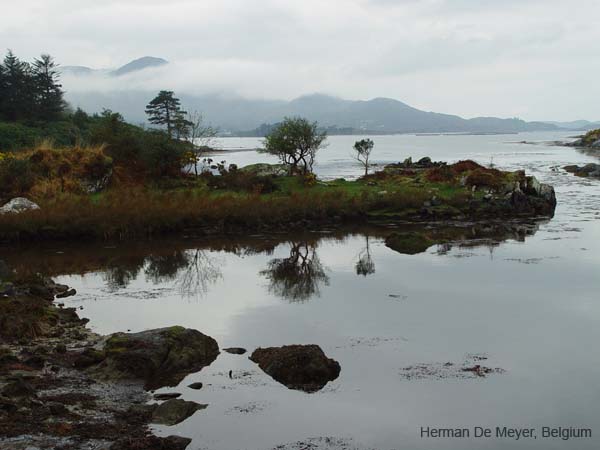 image101