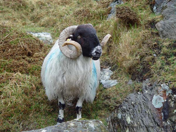image106