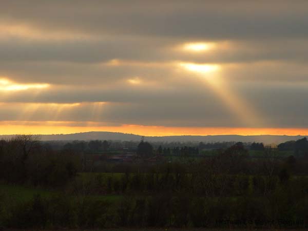 image113