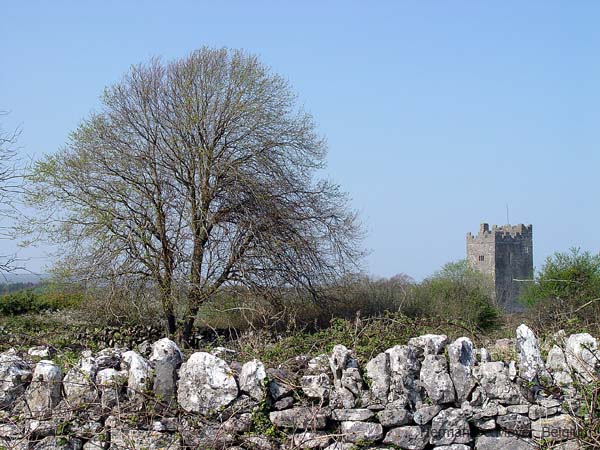 image127