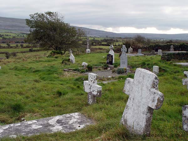 image134