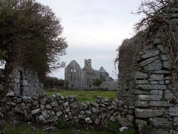 image135