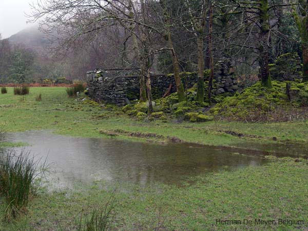 image198