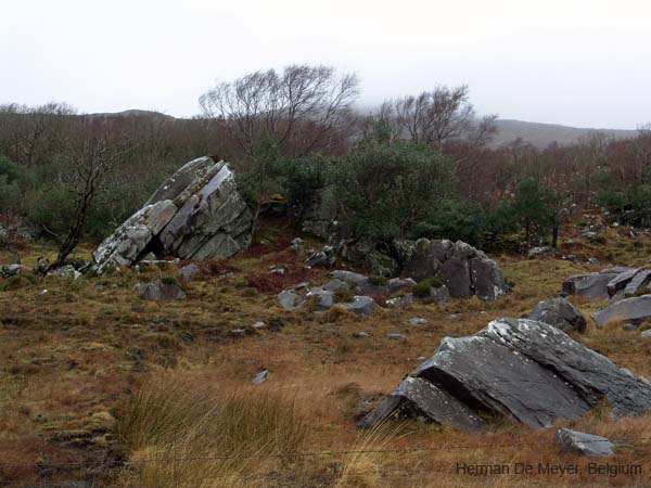 image199