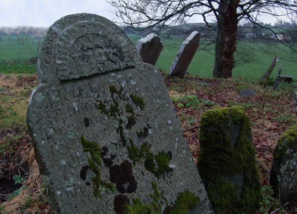 image204