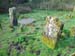 image037