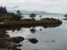 image101