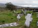 image134