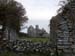 image135