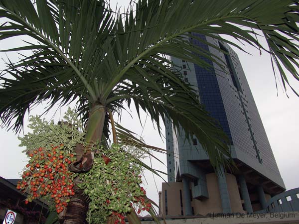 DSC03029