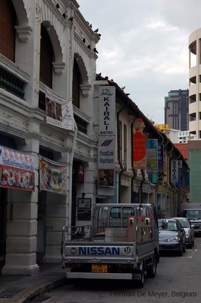 DSC_0040