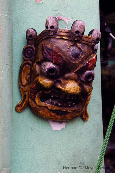 DSC_0049