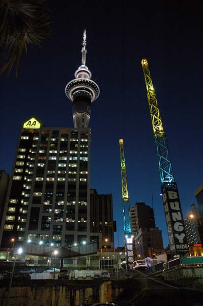 DSC_6584