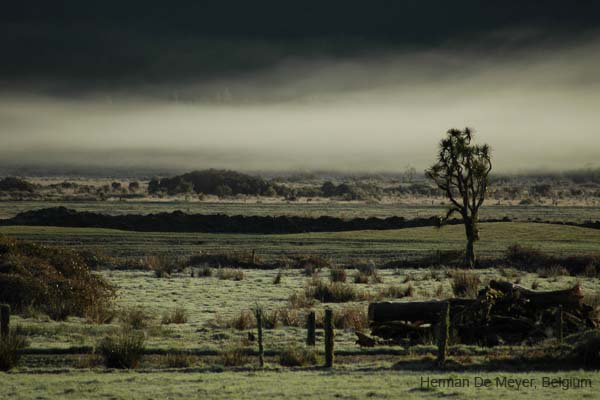 DSC_3522ok