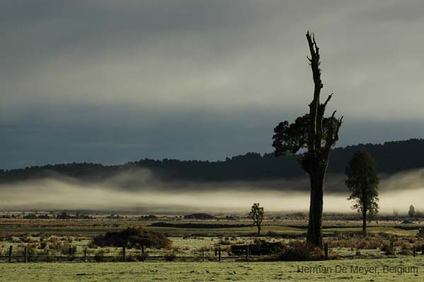 DSC_3525ok