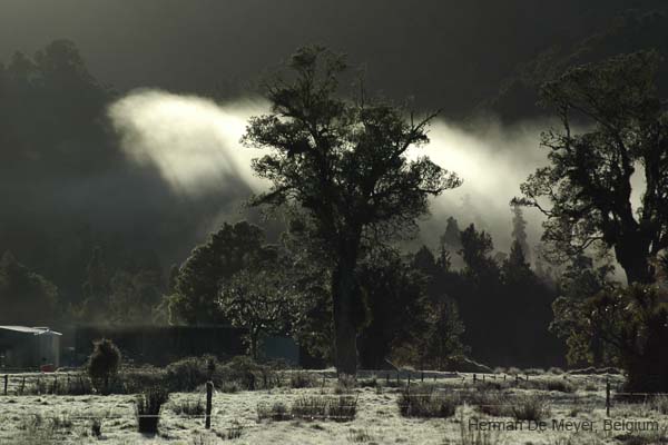 DSC_3526ok