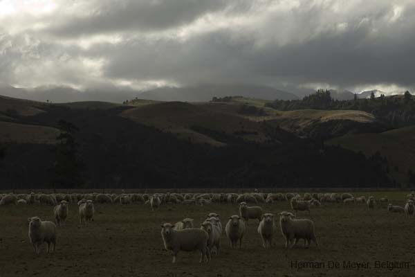DSC_3840ok