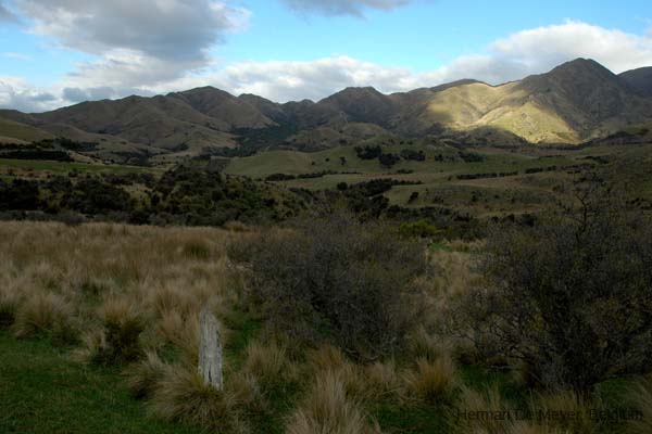 DSC_3849ok