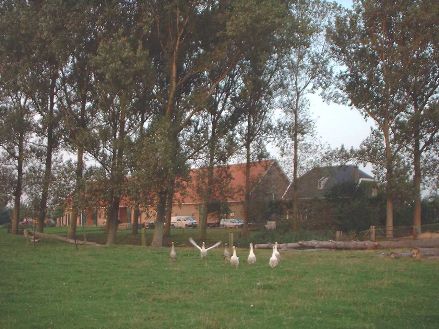 Foto boerderij Oranjepolder 2002