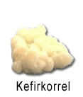kefir