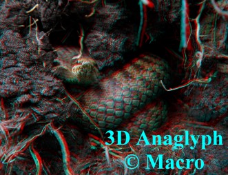 Gladde Slang. 3D! © Macro