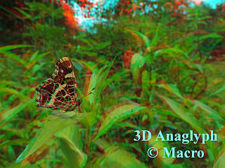 Landkaartje. 3D! © Macro