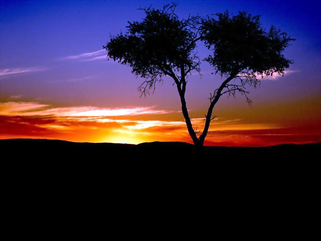 sunset_wallpaper.jpg