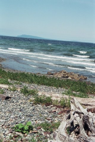 Photograph