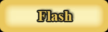 Flash_button