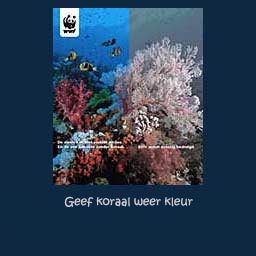 Klik hier voor meer informatie over de activiteiten van het WNF op het geboed van koraalbescherming;